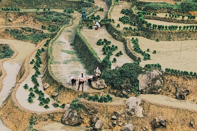 2-Day Trekking in Sa Pa from Ha Noi by sleeping bus - Ta Van village and the family homestay