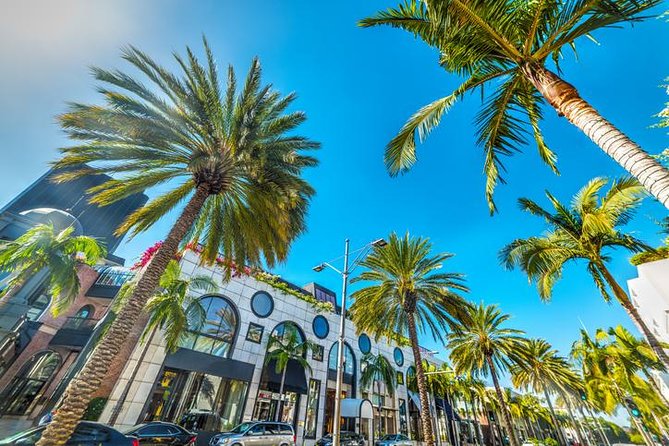 2-Hour Hollywood, West Hollywood and Beverly Hills Open Bus Tour - The Hollywood Hills views