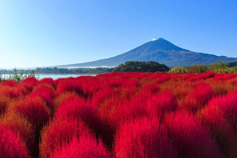 3-Row Luxury Bus Tour to Mt. Fuji, Lake Kawaguchi from Tokyo - Key details at a glance