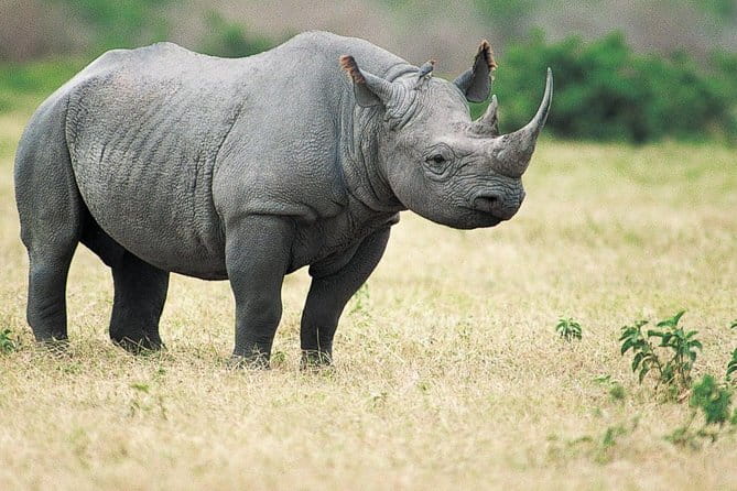 6-Day Tour of Exotic Northeast India: Mawsmai Caves, Double Decker Living Root Bridge and Kaziranga National Park - Day 1: Two hours on the Brahmaputra