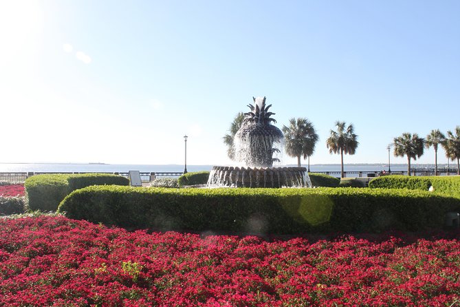 90-Minute Charleston City Sightseeing Bus Tour - Why a 90-minute ride is useful in Charleston