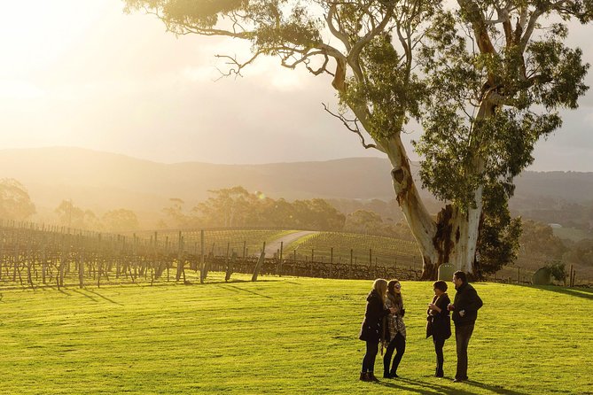 Adelaide Hills & Hahndorf Hop-On Hop-Off Wine Tour - A choose-your-own wine day from Adelaide