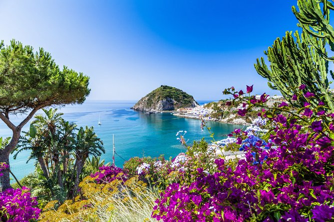 Afternoon Bus Tour of the Island of Ischia - Key points at a glance