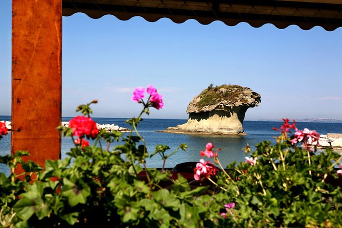 Afternoon Bus Tour of the Island of Ischia - Starting in Ischia Porto