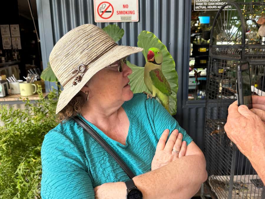 Airlie Beach: Sightseeing Bus Tour - Conway Beach shows a quieter side of the coast