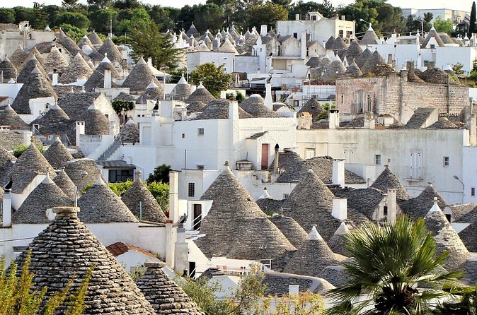Alberobello Self-Guided Tour Departing from Bari by GT Bus - How independent exploration changes the experience
