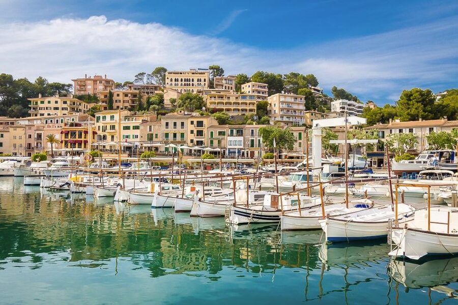 Alcudia/Marratxi: Valldemossa & Soller Tour by Tram & Bus - Guides, buses, and the practical side of the day