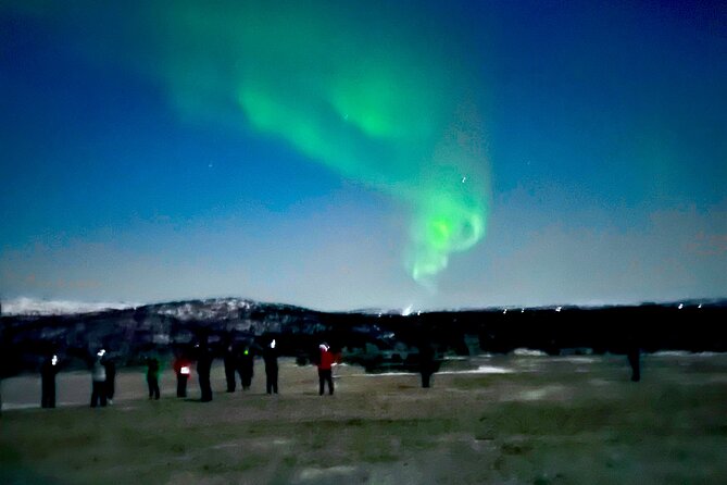 Alta: The Northern Lights Bus – a comfortable Arctic journey - Riding in a bus or a smaller car