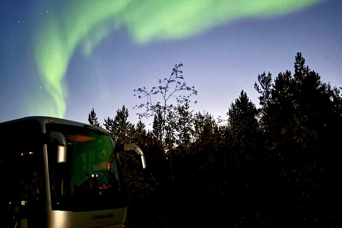 Alta: The Northern Lights Bus – a comfortable Arctic journey - Chasing breaks in the cloud