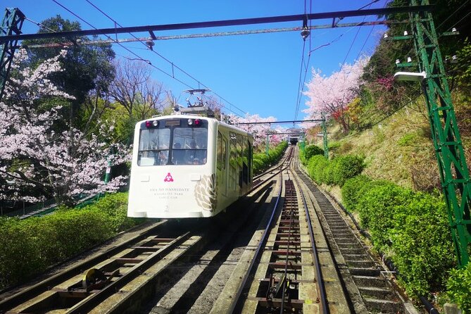 Amanohashidate & Miyama 1-Day Bus Tour: From Osaka/Kyoto w/ Lunch - Why this day trip works for getting beyond Kyoto