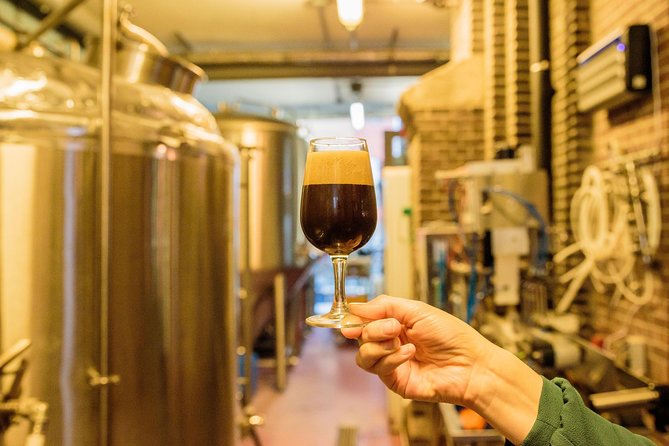 Amsterdam Craft Beer Brewery Tour by Bus with Tastings - Who should book this afternoon out
