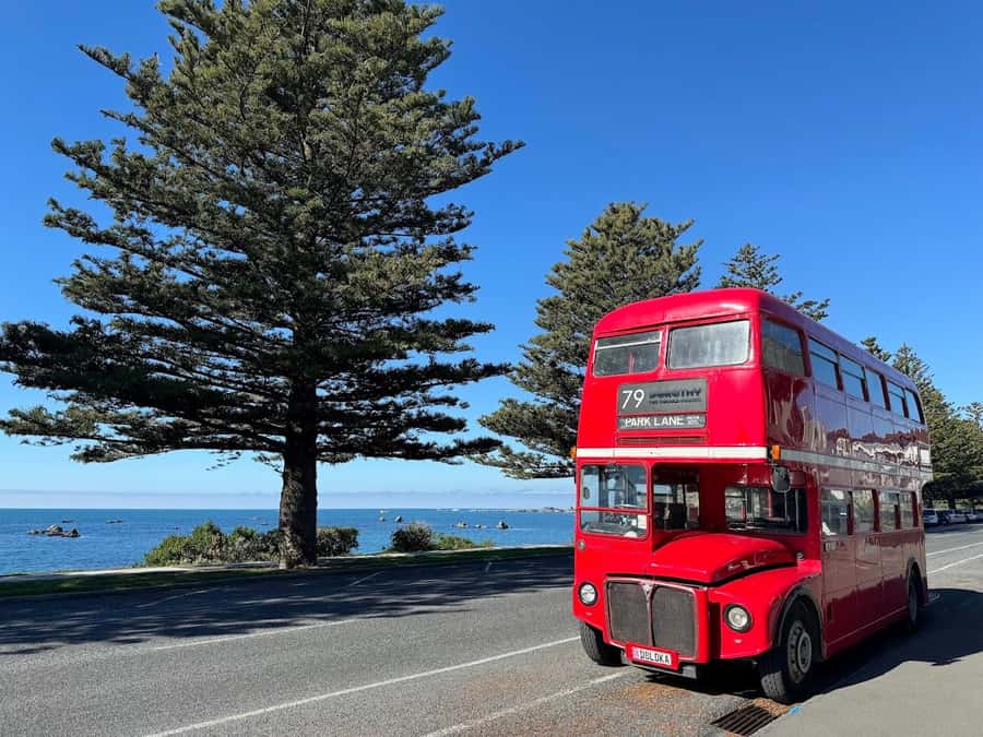 Auckland: Vintage Double-Decker Bus Sightseeing Tour - What this Auckland bus ride is really like