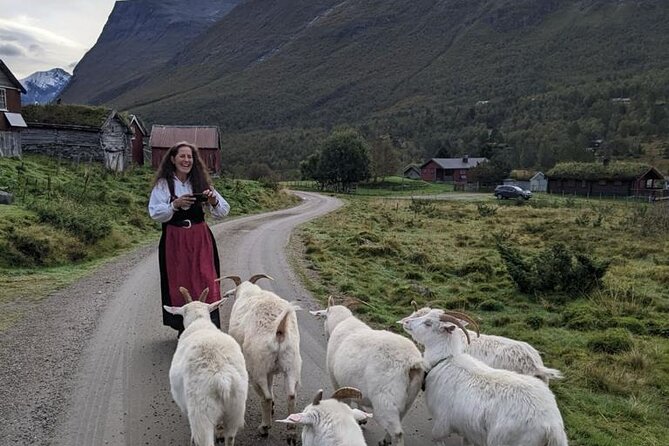 Audio-Guide Bus Tour at Scenic Routes of Åndalsnes to Trollstigen - What the normal Trollstigen visit would include