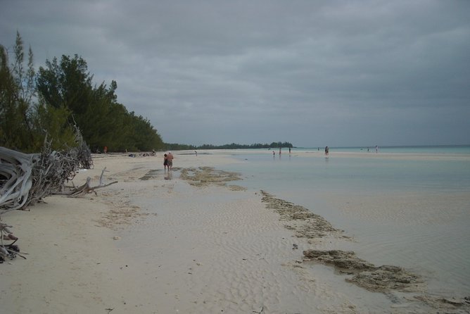 Bahamas Get-A-Round Bus Pass - What to expect on the bus