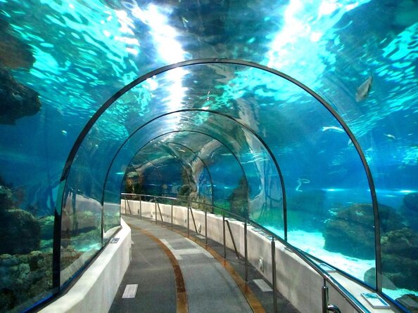 Barcelona City Tour Hop-On Hop-Off and Aquarium - A practical first look at Barcelona from the upper deck