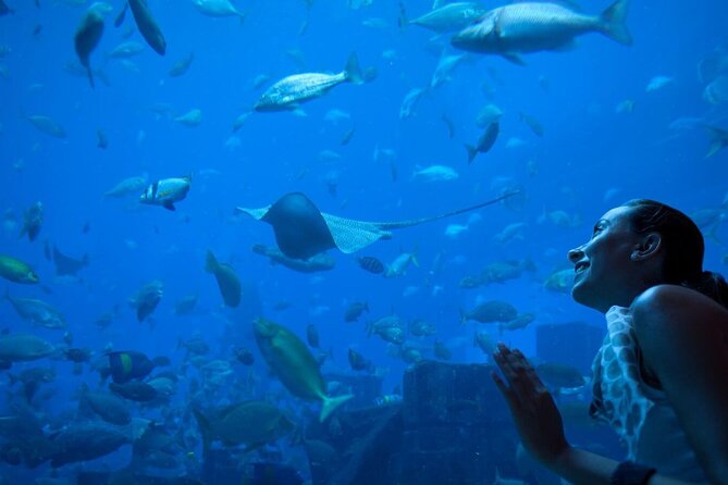 Barcelona City Tour Hop-On Hop-Off and Aquarium - The West Route, from Montjuïc to Sagrada Família