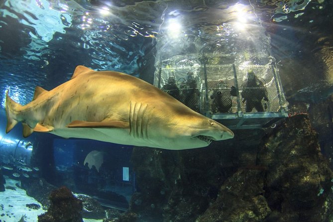 Barcelona City Tour Hop-On Hop-Off and Aquarium - Who will get the most from this city tour