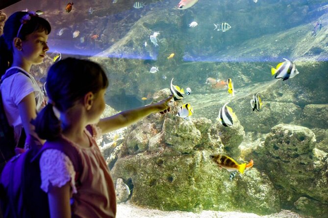 Barcelona City Tour Hop-On Hop-Off and Aquarium - Small details that can save your day