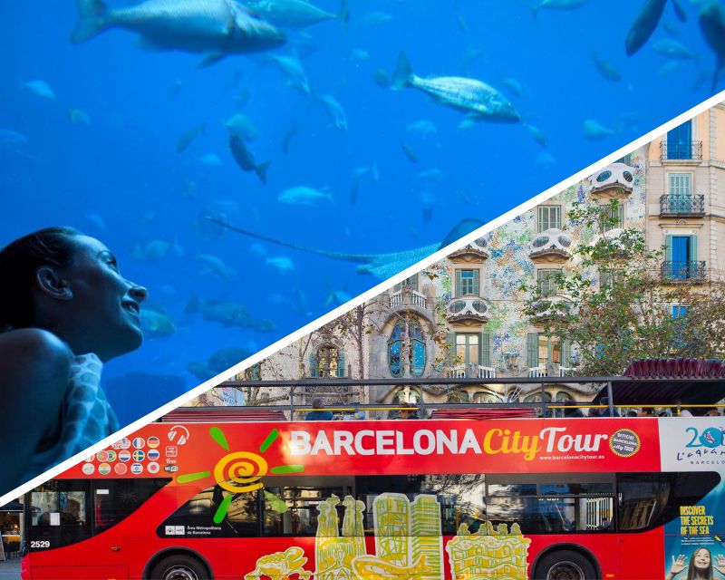 Barcelona: Hop-On Hop-Off Bus & Aquarium Tour - Two bus routes for seeing Barcelona at your own pace