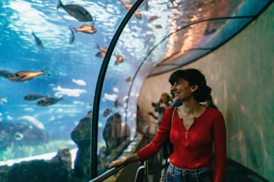Barcelona: Hop-On Hop-Off Bus & Aquarium Tour - The orange route from the harbor to Montjuïc and Gaudí