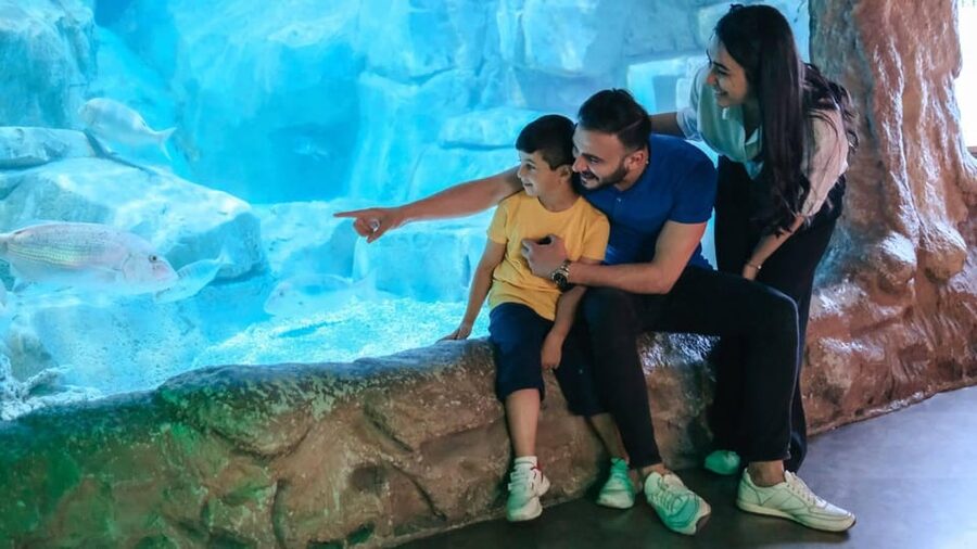 Barcelona: Hop-On Hop-Off Bus & Aquarium Tour - What the Aquarium adds to the day