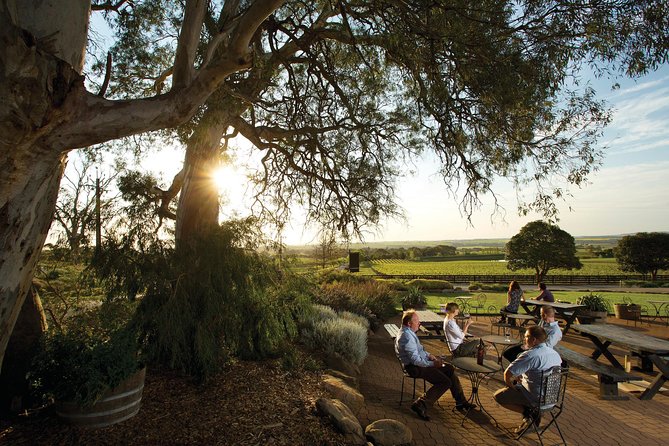 Barossa Valley Hop-On Hop-Off Wine Tour - Practical details before you book