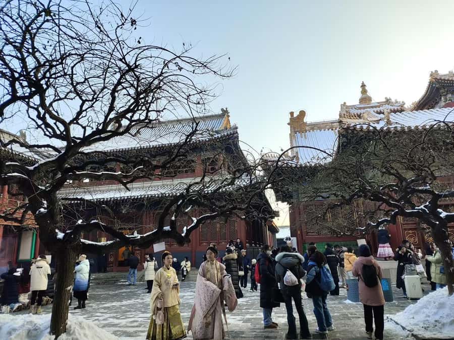 Beijing Great Wall Bus Tour with Multiple Route Options - Small Details That Improve the Day