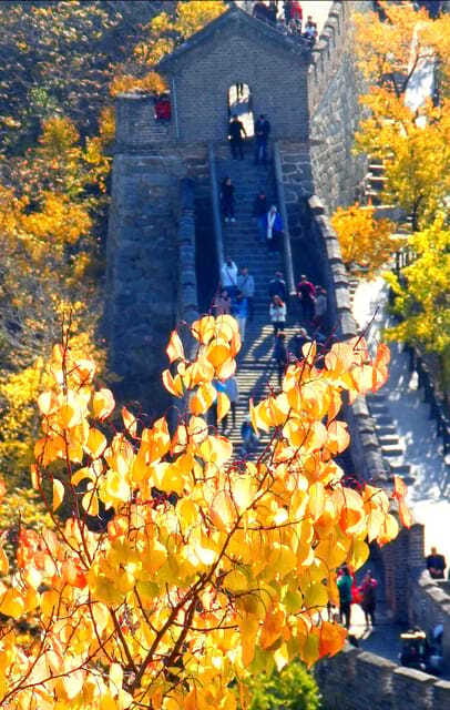 Beijing: Mutianyu Great Wall Bus Tour with Ticket &Cable car - Returning to Beijing and seeing Olympic Park