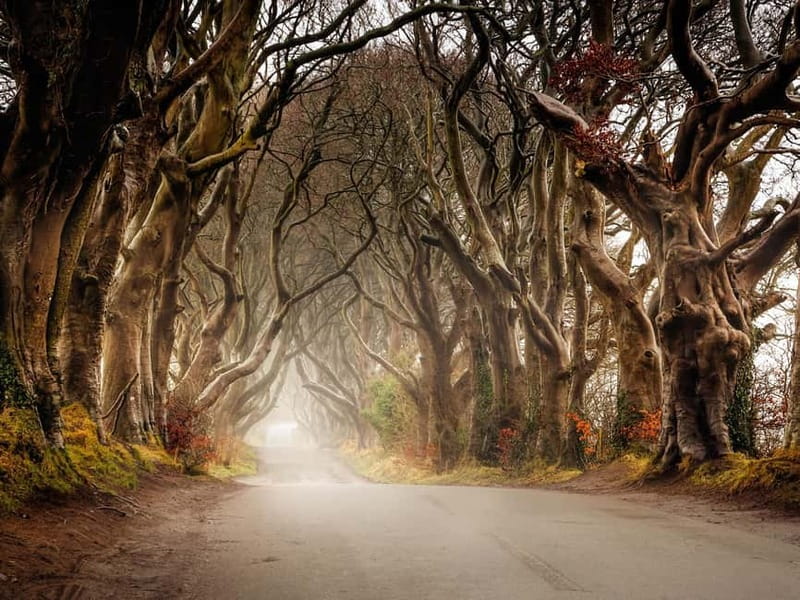 Belfast: Giant's Causeway Tour and 2-Day Open Top-Bus Tour - Carrickfergus Castle begins the coastal day