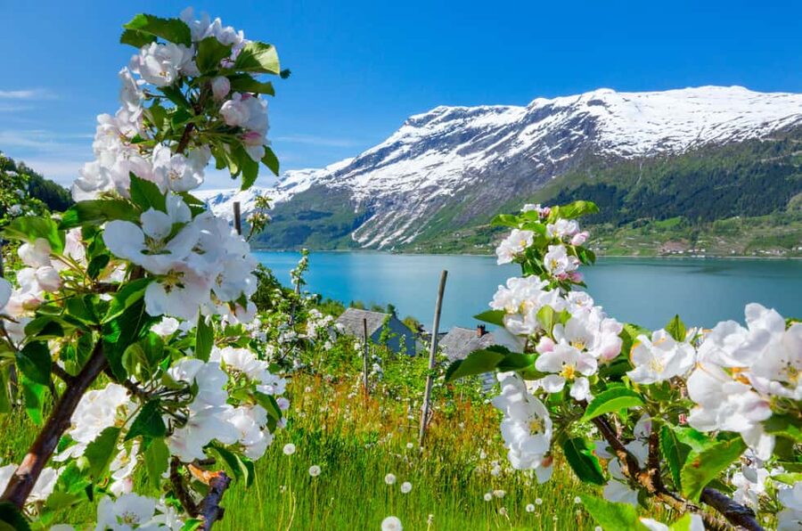 Bergen: Hardangerfjord & Waterfalls Bus Tour with Apple Pie - Key points at a glance