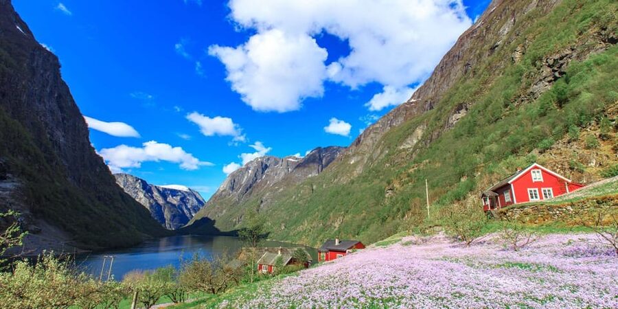 Bergen: Nærøyfjorden, Flåm, and Stegastein Guided Bus Tour - Key points to know before you book