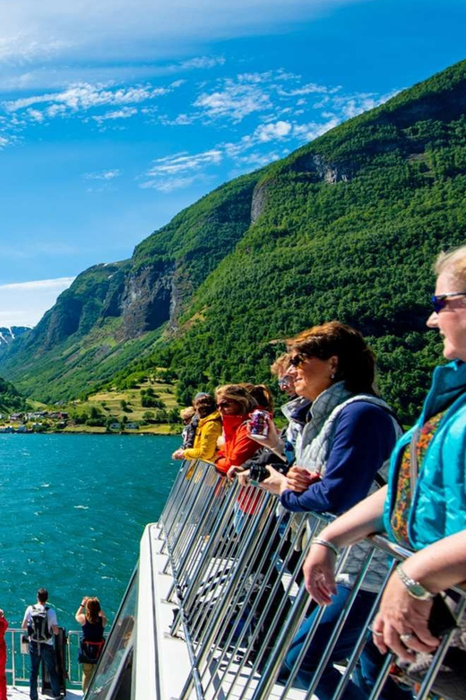 Bergen: Nærøyfjorden, Flåm, and Stegastein Guided Bus Tour - The minibus and the guides