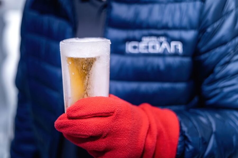 Berlin: Hop-On Hop-Off Bus and Icebar Ticket Combo - How to plan the bus and icebar together