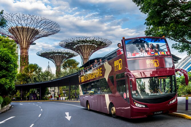 Big Bus Singapore Hop-On Hop-Off Tour - What the Big Bus Singapore tour actually covers