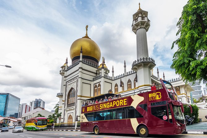 Big Bus Singapore Hop-On Hop-Off Tour - Who should book this Singapore bus tour?