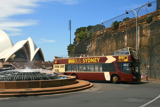 Big Bus Sydney and Bondi Hop-on Hop-off Tour - The optional night tour with Stephen