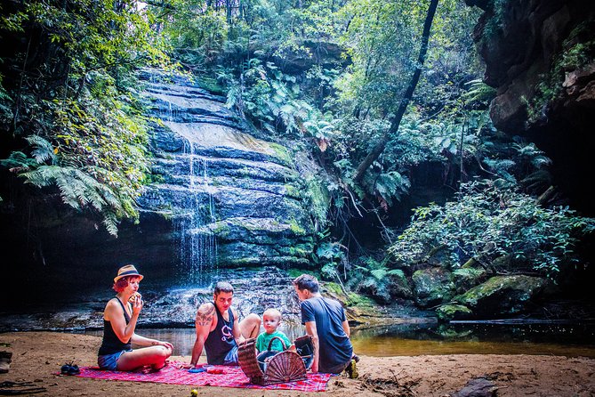 Blue Mountains Hop On Hop Off Tour - The drivers make a real difference