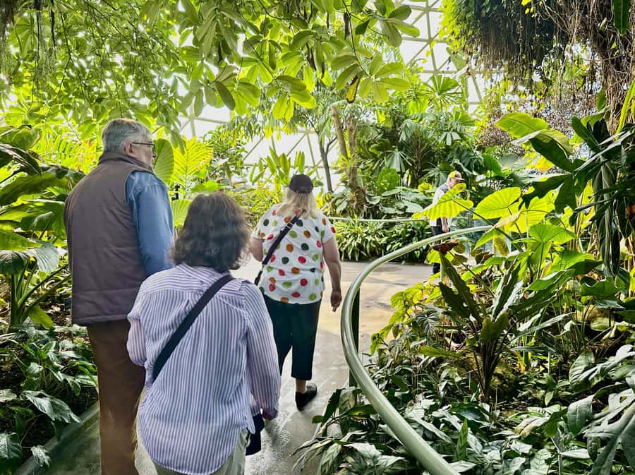 Brisbane Bus Tour: City highlights | Small group | Snack - Key points to know before booking