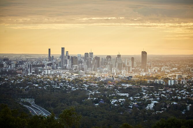 Brisbane Bus Tour: Max 10 people | Half Day | Morning tea inc. - Mount Coot-tha Botanic Gardens, 45 minutes