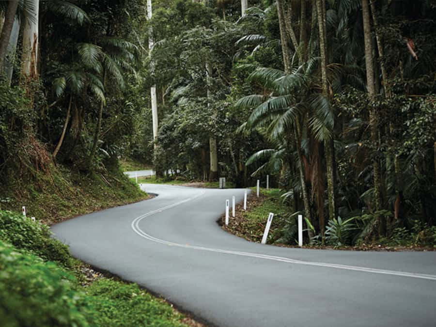 Brisbane: Daytime Glow Worm Caves Hop-on Hop-off Bus Tour - The one-hour ride from Brisbane