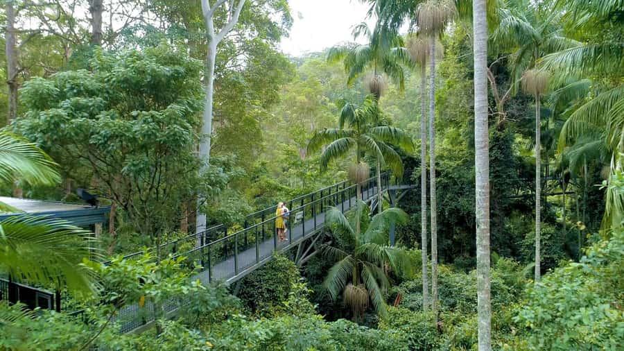 Brisbane: Daytime Glow Worm Caves Hop-on Hop-off Bus Tour - Tamborine Mountain after the cave