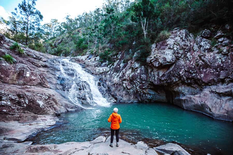 Brisbane: Hop on Hop off Bus to Tamborine Mountain - Is $70 good value?