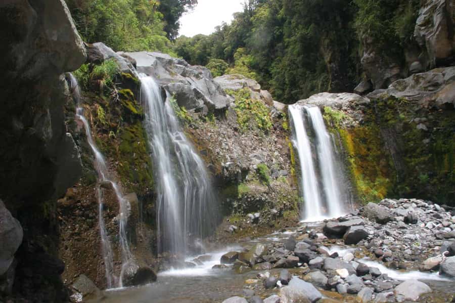 Brisbane: Hop on Hop off Bus to Tamborine Mountain - Who should book this day out?