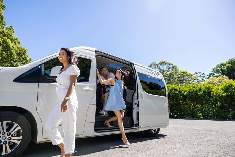 Brisbane: Wine Tasting - Hop on Hop off Tour to Mt Tamborine - A wine morning on Tamborine Mountain