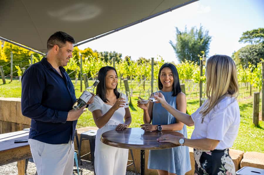 Brisbane: Wine Tasting - Hop on Hop off Tour to Mt Tamborine - Who should book this tour