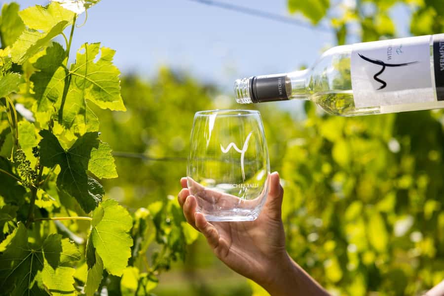 Brisbane: Wine Tasting - Hop on Hop off Tour to Mt Tamborine - What to bring and how to prepare