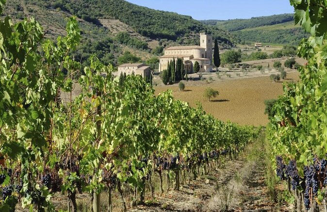 Brunello Vineyards Bus Tour - Key points to know before you book