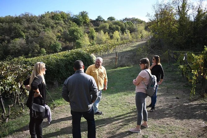 Brunello Vineyards Bus Tour - Second winery: a different view of Brunello