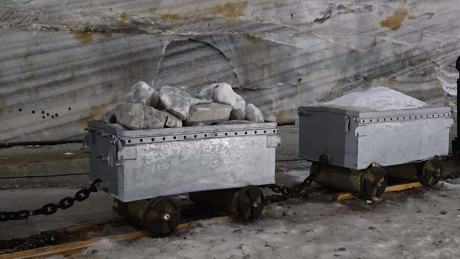 Bucharest Bus Tour: Salt mine & Dracula Tomb Half Day Trip - Who should book this excursion?