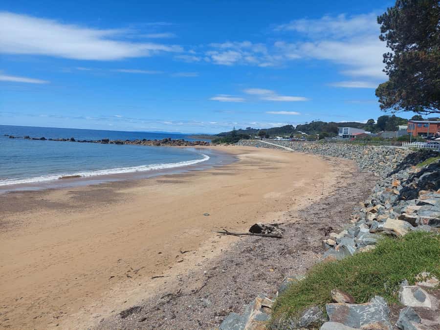 Burnie Attractions Bus - Penguin village and the coastal finish
